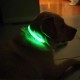USB Şarjlı Neon Led Işıklı Kedi Köpek Tasması