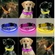 USB Şarjlı Neon Led Işıklı Kedi Köpek Tasması