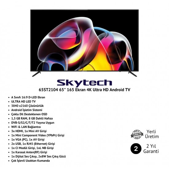 Skytech 65ST2104 65" 165 Ekran 4K Ultra HD Android TV